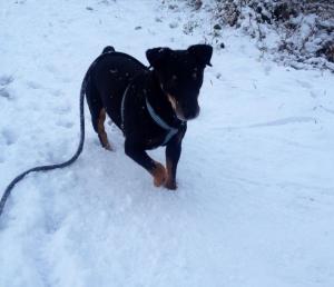 148210_3482046150451_135598546_n