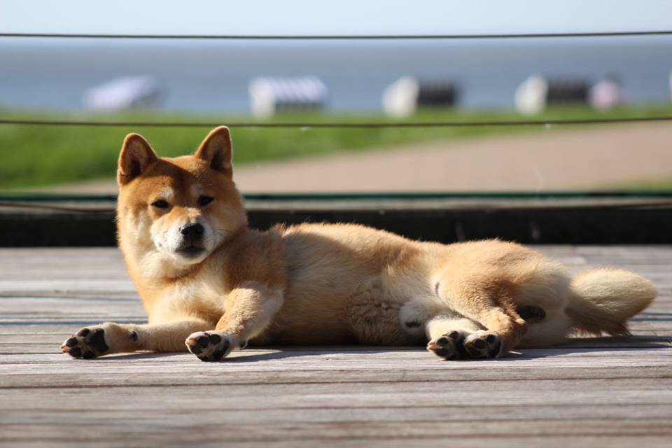 17792278_1376617342400169_1884683773_n