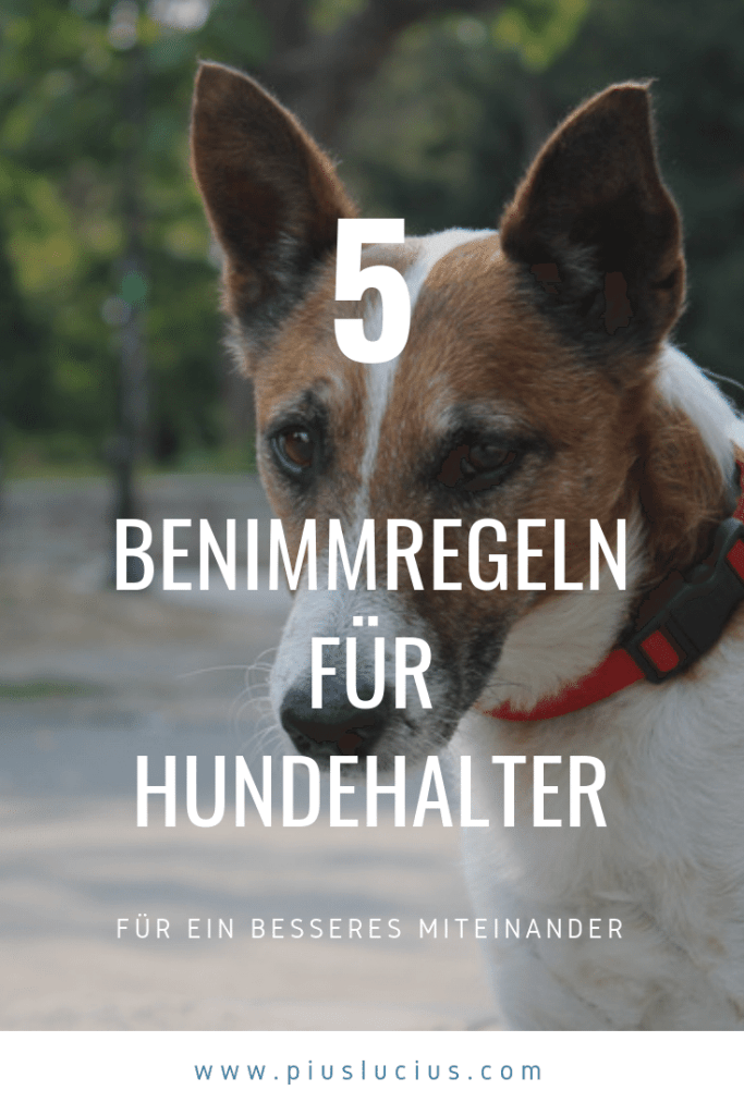 Benimmregeln für Hundehalter