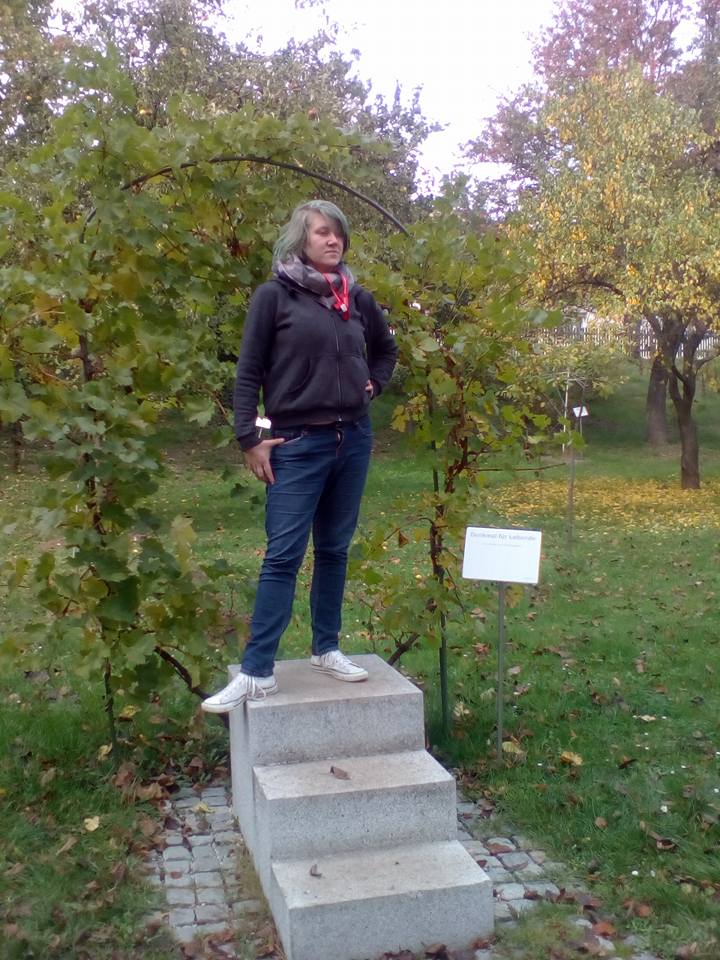 PiusLucius im Nonseum