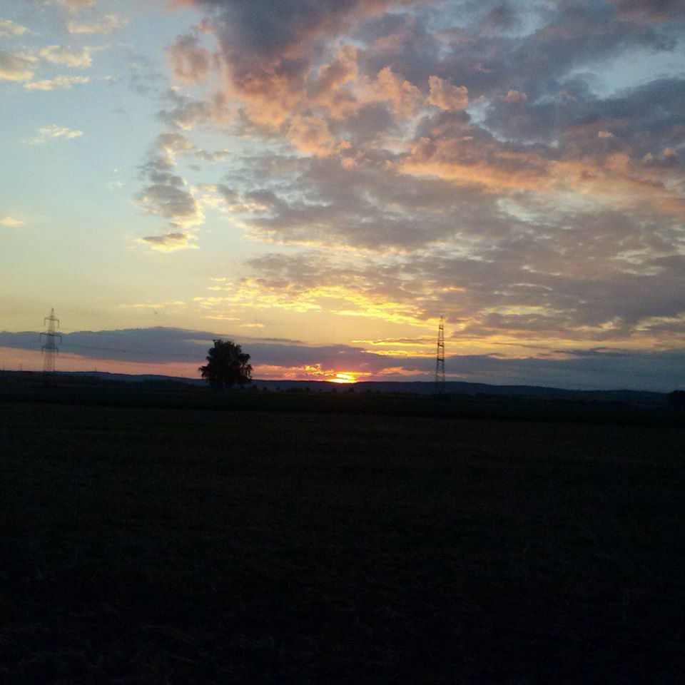 Depressive Phase? – Gefühlskarussell –&nbsp;PiusLucius