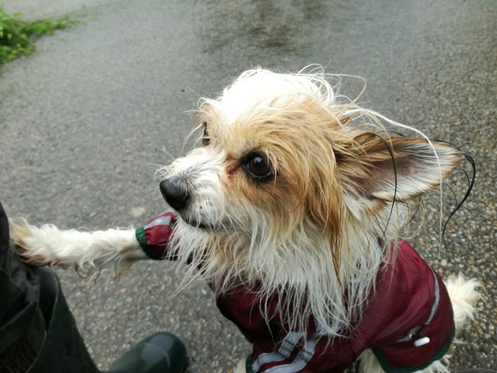 Wasser. Wasser. Überall ist Wasser. – Monatsrückblick Mai&nbsp;2018