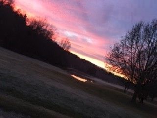 Resilienz – Was ist das? |&nbsp;Gastgeflüster