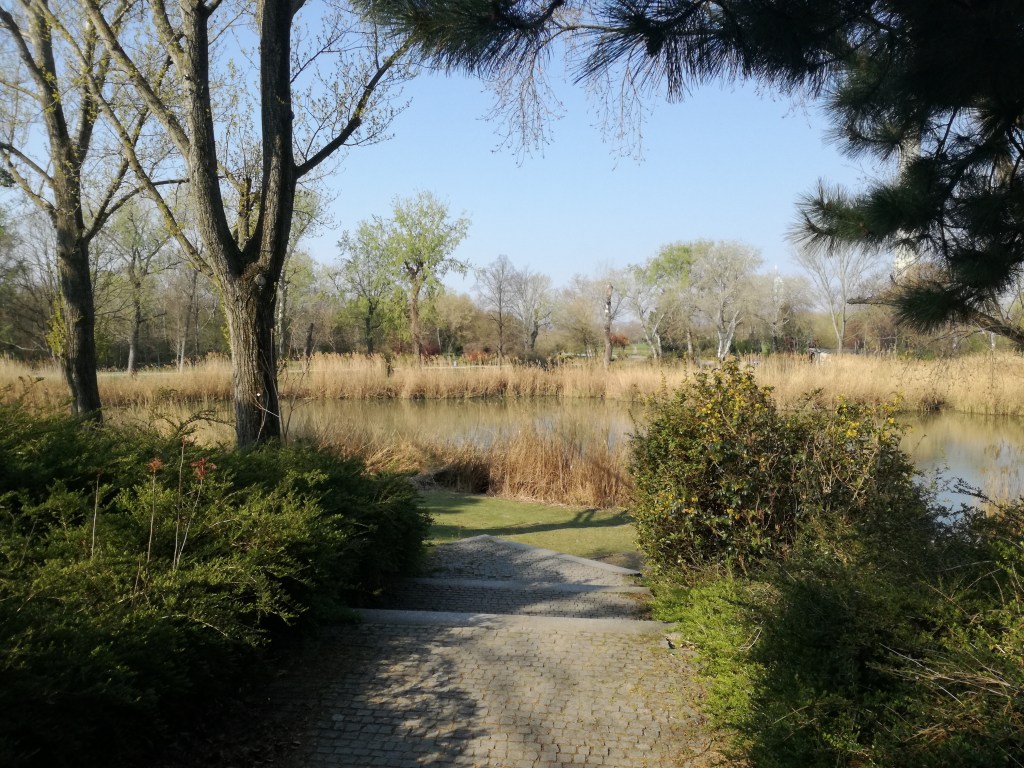 Schlagartige Veränderungen begünstigen viele Filme – Monatsrückblick Feb. + März&nbsp;2020